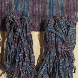 May include: A purple, blue, and white striped scarf with fringe tassels on each end.