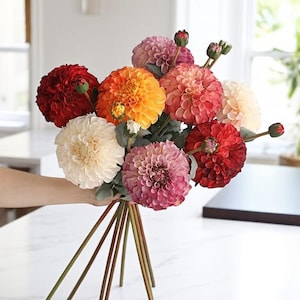 May include: A bouquet of colorful dahlias in shades of red, orange, pink, and cream. The flowers have a full, layered petal structure and are held together by long, slender stems. The bouquet is a vibrant display of natural beauty.