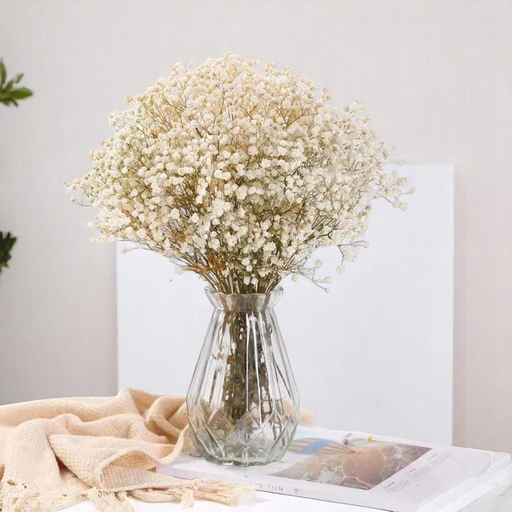 60g Dried Baby’s Breath Bouquet | Natural Gypsophila Flowers for Wedding, Christmas, Home, Table Decor | DIY Floral Arrangement
