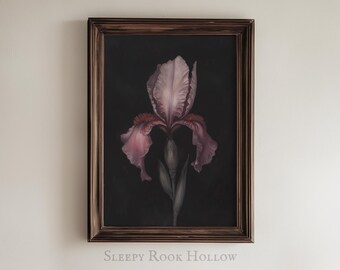 May include: A framed painting of a single pink iris flower with a dark background. The flower is in focus and the background is blurred.