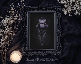 Könnte beinhalten: Ein schwarzer gerahmter Druck einer lila Iris-Blume vor einem dunklen Hintergrund. Der Druck trägt den Titel "Sleepy Rook Hollow".