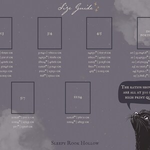 May include: A size guide chart with various aspect ratios, including 2:3, 3:4, 4:5, 5:7, 11:14, and ISO Portrait, with corresponding inch and centimeter measurements. A black cat looks up at the text bubble.