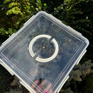 Puede incluir: Un contenedor de almacenamiento de pl&aacute;stico transparente con un cierre blanco y un c&iacute;rculo blanco en la tapa.