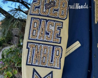 Cristales bohemios para chaquetas de estilo universitario p/v 6, p/v 8, p/v 10, p/v 12, p/v 16, p/v 20, p/v 30 (10 brutos)