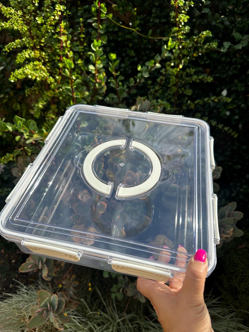 Puede incluir: Un recipiente de almacenamiento de pl&aacute;stico transparente con una tapa blanca y una manija circular blanca en la parte superior. El recipiente est&aacute; vac&iacute;o.