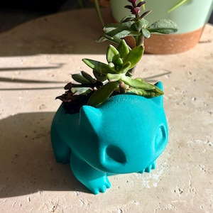 May include: A teal-colored planter shaped like a cartoon character, holding a small succulent plant. The plant has green leaves and a few stems with reddish-purple tips. The planter is sitting on a light-colored surface.