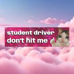 Student Driver Bumper Magnet, Brat Gen Z Girl Permit Gift, Funny Magnetic Bumper Sticker New License Cute Cat Meme Magnet Car Magnet Decal