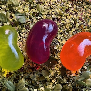 May include: Three jelly beans in green, purple, and orange, with a glossy, translucent appearance. The jelly beans are set against a backdrop of small green leaves and tiny white beads, creating a colorful and textured display.