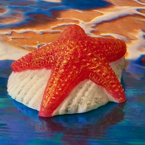 May include: A vibrant red starfish with gold accents rests on a white seashell. The starfish is the focal point, set against a backdrop of blue and orange water, creating a beachy theme.