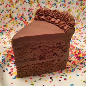 Chocolate Cake Soap - Handmade Soap, Fun Soap, Kids Soap, Gift Soap, Cake Soap, Chocolate Soap  - 14oz