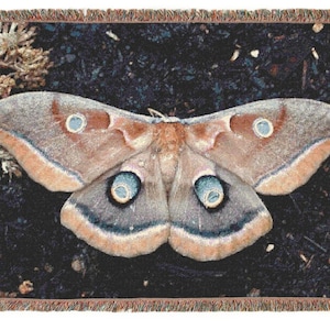 Polyphemus moth woven Blanket