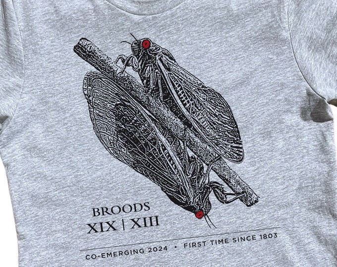 Featured listing image: Cicada Shirt 2024, Adult Unisex, Co-Emergence, Screenprinted