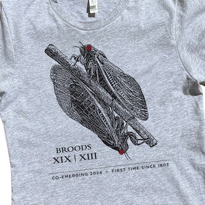 Cicada Shirt, Adult Unisex, Cicada Co-Emergence, Cicada Tshirt, Cicada 2024
