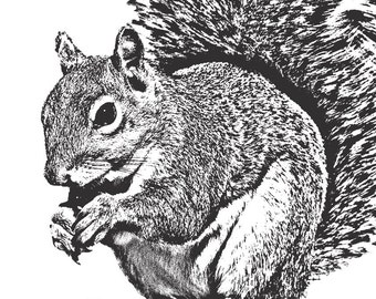 Squirrel Art Print, 8x10