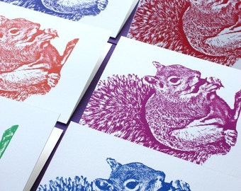 Squirrel Note Cards, Set of 8, Bright Colors