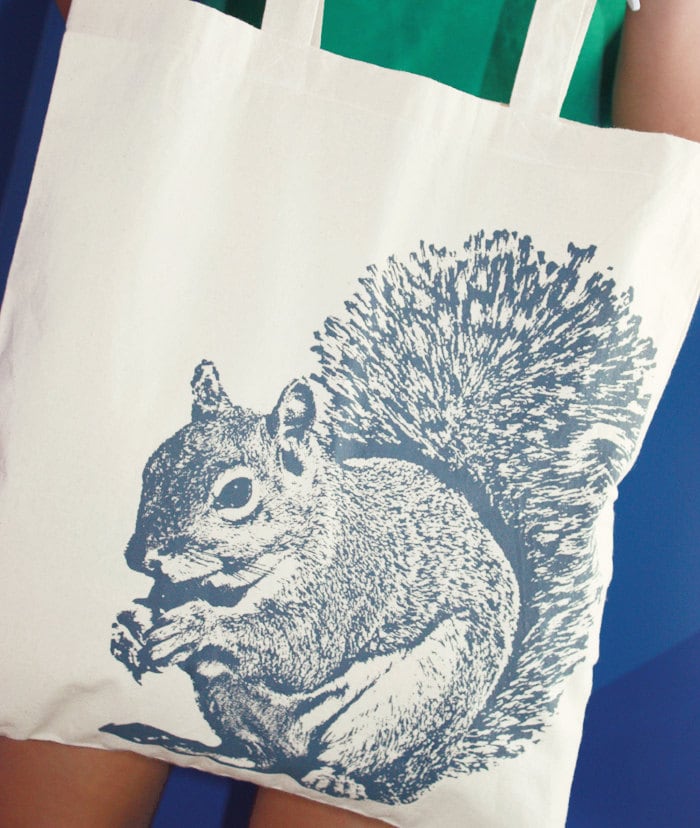 Squirrel Tote Bag, Bolsa de mano personalizada para los amantes de las  ardillas, Bolsa de compras reutilizable, Regalos del Día de las Madres para