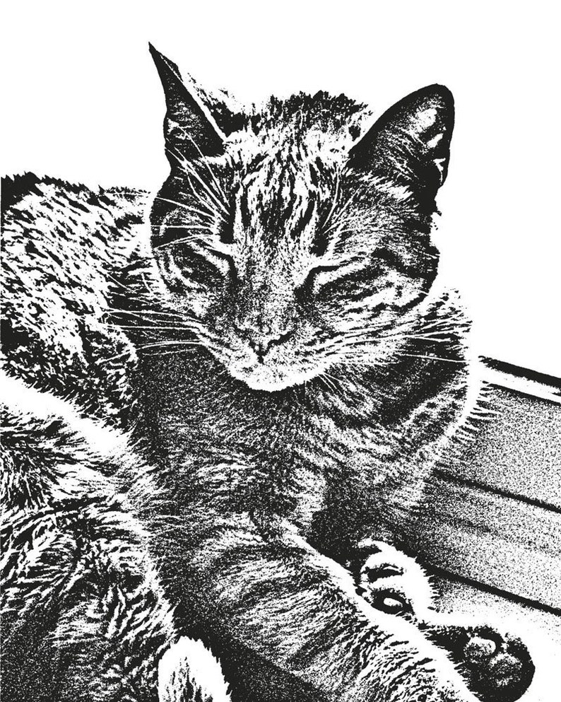 Pode incluir: Uma ilustra&ccedil;&atilde;o em preto e branco de um gato dormindo com os olhos fechados. O gato est&aacute; deitado de lado com as patas enfiadas debaixo do corpo. A ilustra&ccedil;&atilde;o &eacute; feita em um estilo &aacute;spero e texturizado.