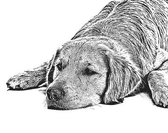 Custom Pet Portrait, 11x14, Golden Retriever
