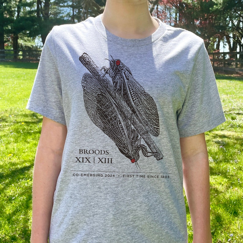 Cicada Shirt, Adult Unisex, Cicada Co-Emergence, Cicada Tshirt, Cicada 2024 image 3