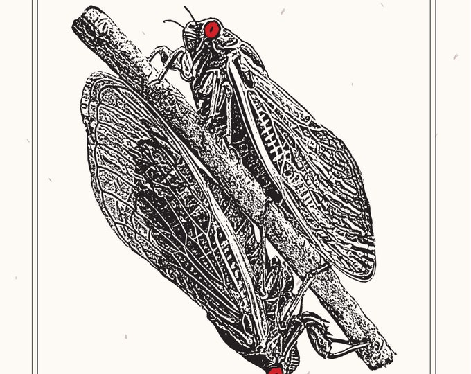 Featured listing image: Cicada Print, Dual Emergence 2024, 11x14 Limited Edition Print