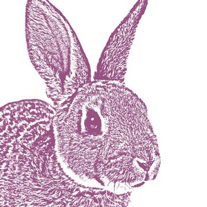 BUNNY Print, Rabbit, 11x14 Signed Art Print