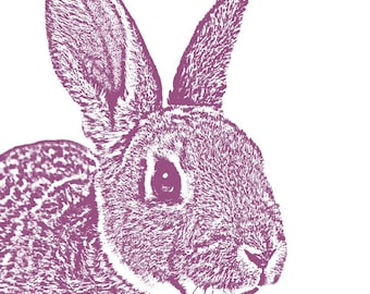 BUNNY Print, Rabbit, 11x14 Signed Art Print