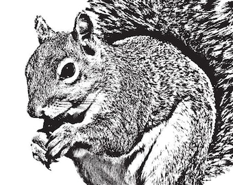 Squirrel Art Print, 5x7 inches