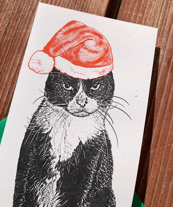 Fussy Figaro Angry Cat Funny Holiday Cards SINGLE CARD - Etsy