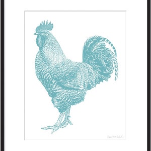 May include: A teal blue rooster illustration with a white background. The rooster is facing the left side of the image. The rooster has a large comb and wattles. The rooster's tail feathers are spread out behind it. The image is signed "Sarah Jane Ballard" in the bottom right corner.