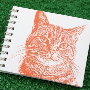 Mini journal - Chat tigré mandarine, chat orange, carnet de notes chat