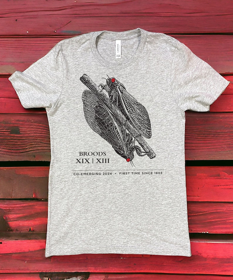 Cicada Shirt, Adult Unisex, Cicada Co-Emergence, Cicada Tshirt, Cicada 2024 image 6