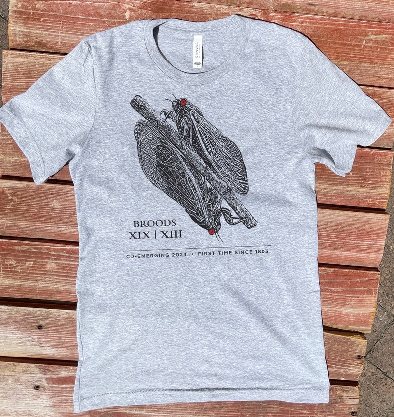 Cicada Shirt, Adult Unisex, Cicada Co-Emergence, Cicada Tshirt, Cicada 2024 image 4