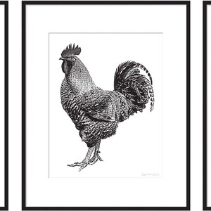 May include: Three framed prints of a rooster illustration. The rooster is depicted in red, black, and blue.