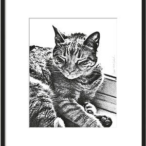 Pode incluir: Ilustra&ccedil;&atilde;o em preto e branco de um gato dormindo em uma superf&iacute;cie texturizada. Os olhos do gato est&atilde;o fechados e suas patas est&atilde;o enfiadas debaixo do corpo.