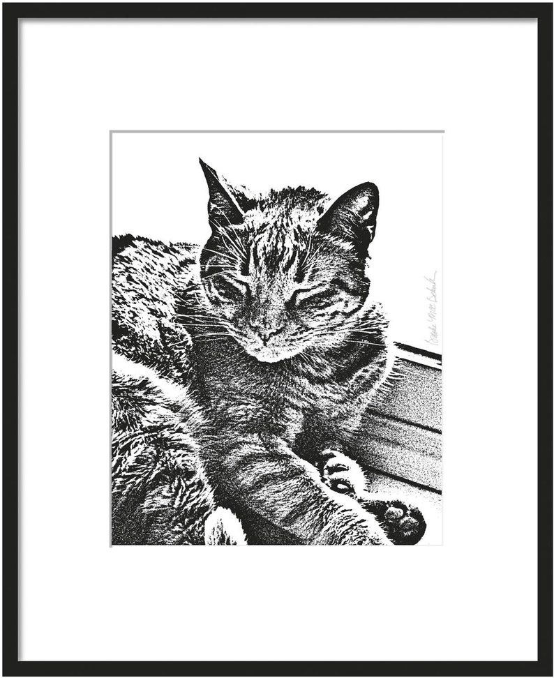 Pode incluir: Ilustra&ccedil;&atilde;o em preto e branco de um gato dormindo em uma superf&iacute;cie texturizada. Os olhos do gato est&atilde;o fechados e suas patas est&atilde;o enfiadas debaixo do corpo.