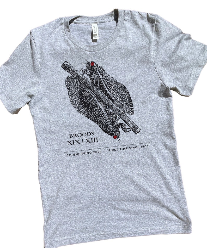 Cicada Shirt, Adult Unisex, Cicada Co-Emergence, Cicada Tshirt, Cicada 2024 image 1