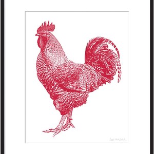 May include: A red rooster illustration with a detailed design. The rooster is standing with its tail feathers spread out.
