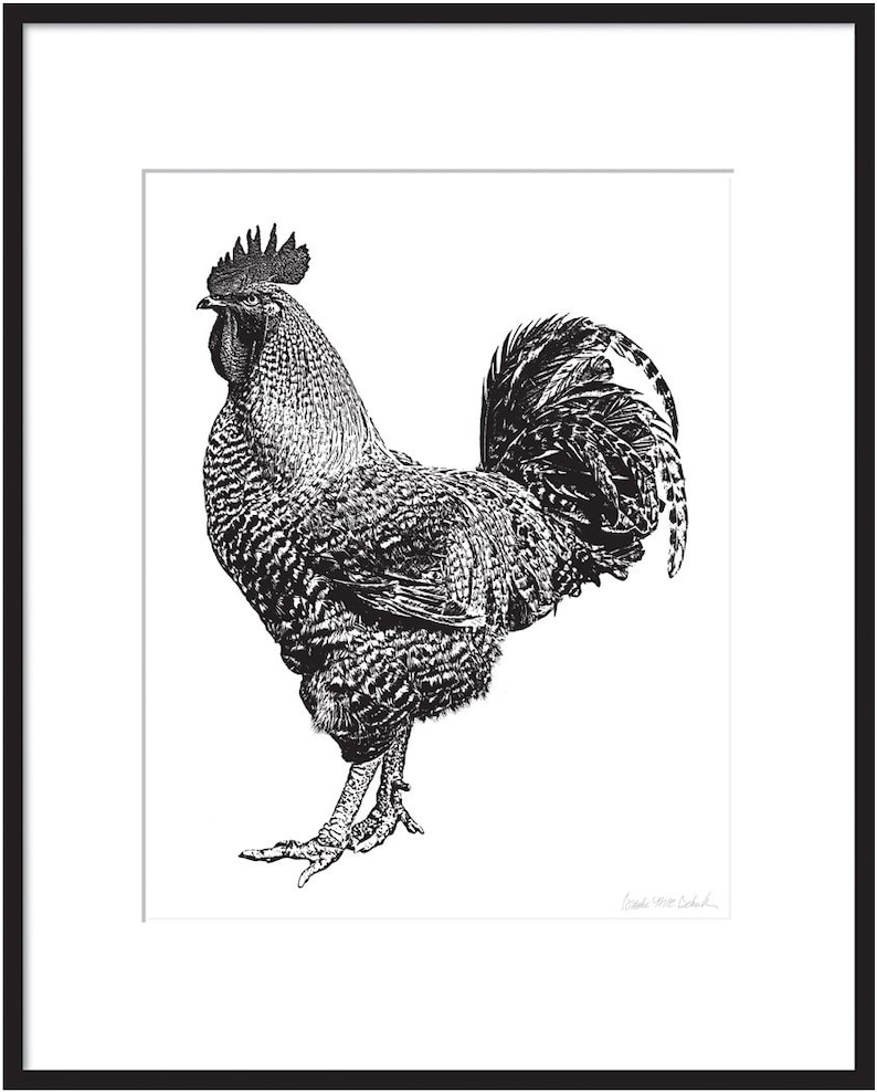 May include: Black and white line art illustration of a rooster with a large comb and wattles. The rooster is standing with its tail feathers spread out.