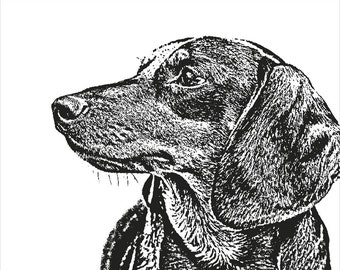 8x10 Custom Pet Portrait, Dog Portrait, Pet Memorial, Dachshund Art