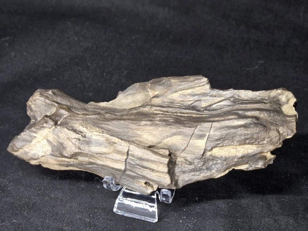 Petrified Wood Log Large Natural Decorative Crystal (03) - Etsy
