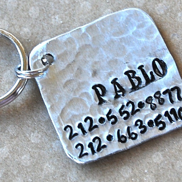 Pet id tag / Pablo Square NEW FONT Wackadoodle Personalized Custom Identification Pet Jewelry