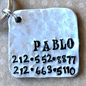 Pet tag Pablo Square Personalized Custom Identification Pet Jewelry image 2