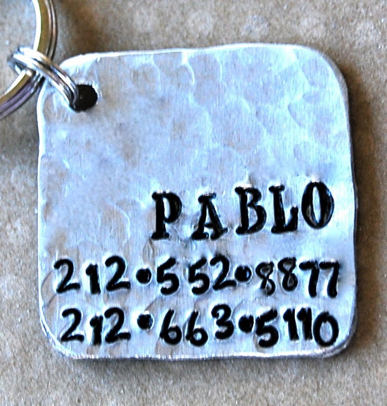 Pet tag Pablo Square Personalized Custom Identification Pet Jewelry image 2