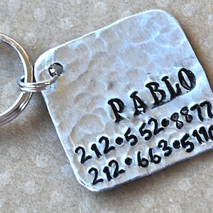 Pet tag Pablo Square Personalized Custom Identification Pet Jewelry image 1