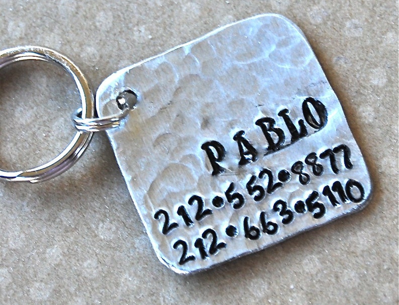 Pet tag Pablo Square Personalized Custom Identification Pet Jewelry image 1