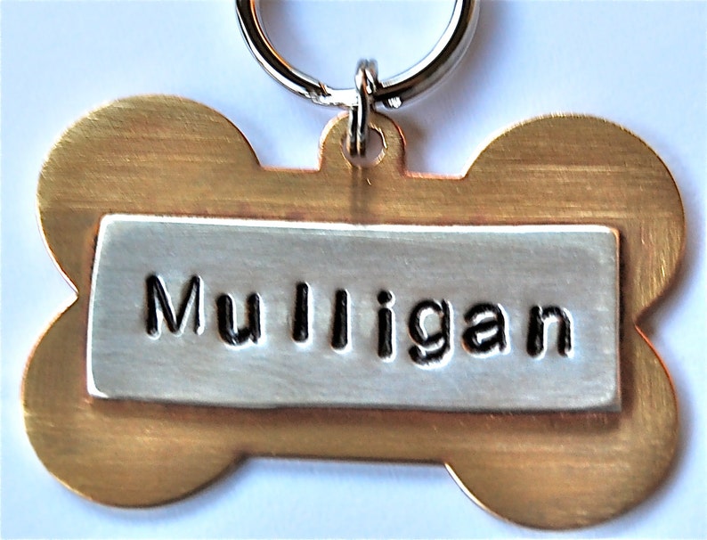 Dog Tag Custom Pet id tag / LARGE Brass Bone with Sterling name plate Multi Metal Personalized Custom Identification Pet Jewelry image 2