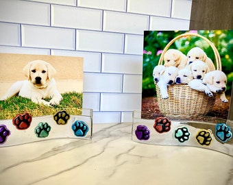 Fused glass curvy photo holder colorful paw prints pet lover dog memorial, can be personalized and customized, 100% handmade in my studio