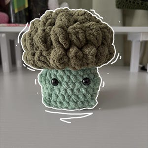 Handmade Crochet Broccoli Plush – Cute Amigurumi Vegetable, Funny Food Toy, Wholesome Gift for Veggie Lovers