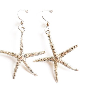 May include: A pair of silver starfish earrings with a simple hook closure.