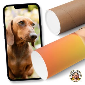 Affiche de film personnalisée | Poster dessin animé personnalisé Pixar de votre chien | Prêt en 24 heures | Affiche de film de dessin animé personnalisée | Téléchargements numériques